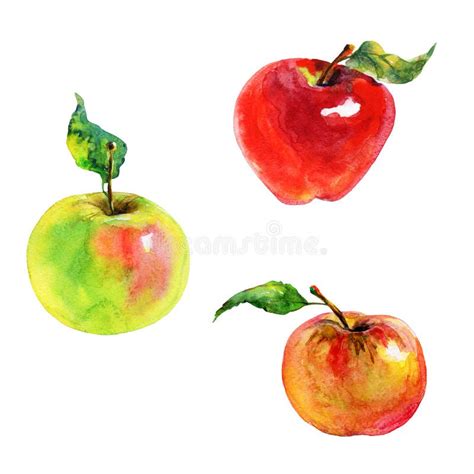 Watercolor Red Apple with Slice Stock Illustration - Illustration of ...