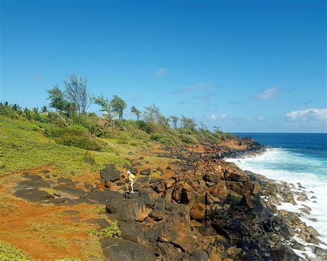 THE 15 BEST Things to Do in Kapaa (2024) - Must-See Attractions