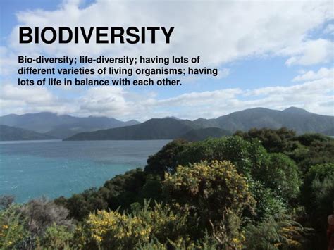 PPT - BIODIVERSITY PowerPoint Presentation, free download - ID:2837352