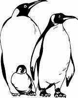 Penguin Coloring Pages For Those Have Happy Feet sketch template
