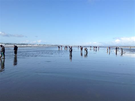 Grays Harbor Beaches