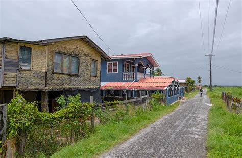 The serene Leguan Island - Guyana Chronicle