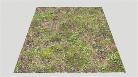 在材质创建的Forest Terrain Textures Pack 2 - 虚幻引擎商城