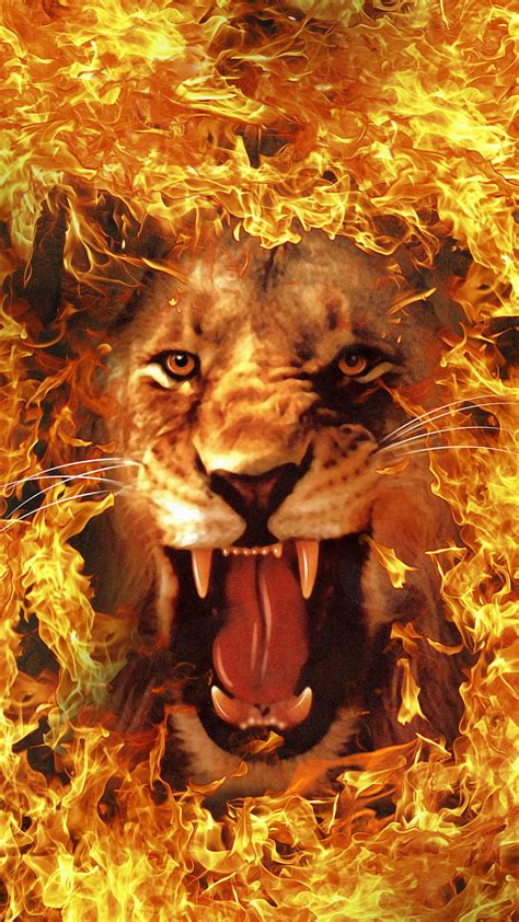 Fire Lion, Fenrir, HD phone wallpaper | Peakpx