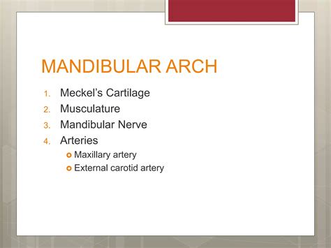 Development of mandible | PPT