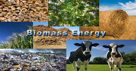 Is Biomass Energy Really A Renewable Energy Source? - Waste to Energy Systems