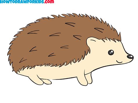 How To Draw Hedgehogs - Aimsnow7