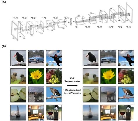 | VAE architecture and reconstruction examples. (A) VAE architecture.... | Download Scientific ...