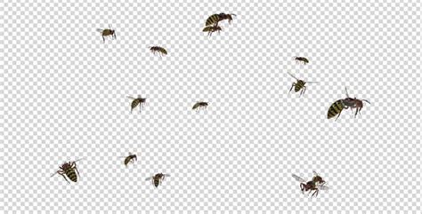 Swarm Wasps Flying Around Videohive 20839293 Rapid Download Motion Graphics