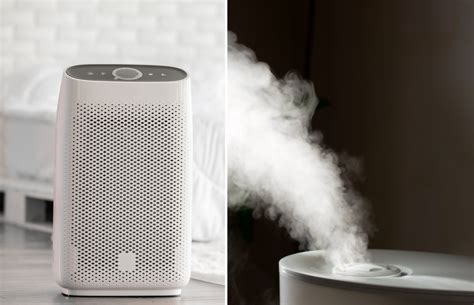 Air Purifier VS Humidifier: What’s the Difference? - yardworship.com