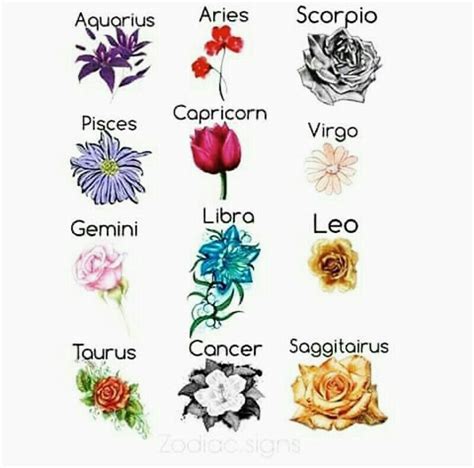 Leo Zodiac Sign Flowers