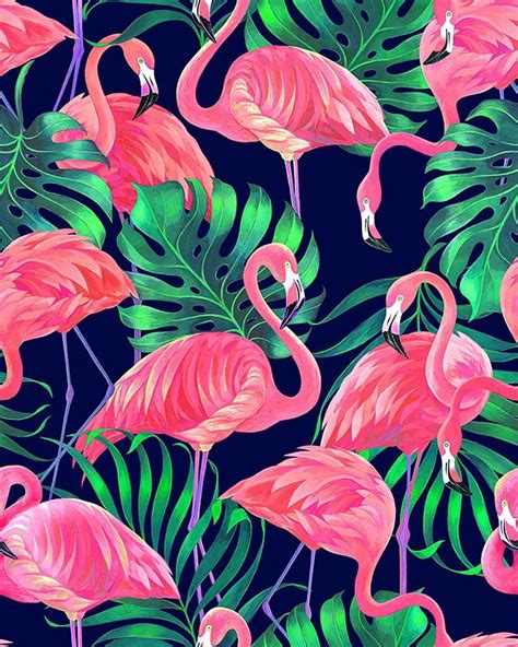 Tropical Flamingo Wallpapers - 4k, HD Tropical Flamingo Backgrounds on ...