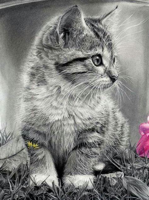 Pin by rudene Hogg on amo a los gatos | Cat art, Pencil drawings of animals, Animal drawings