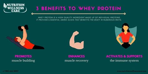 Some amazing benefits of whey protein powder. : r/Nutritionwellnesscare