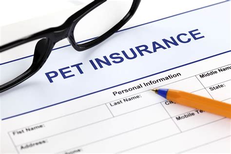 11 Benefits of Pet Insurance: Is it Worth it in 2024? | Pet Keen