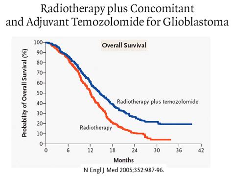 glioblastoma survival