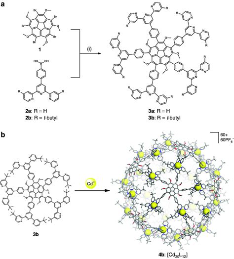 Ligand synthesis and molecular self-assembly. a Reagents and conditions... | Download Scientific ...