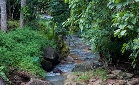 Kathu Waterfall in Phuket Thailand - Parks & Waterfalls - Phuket.Net