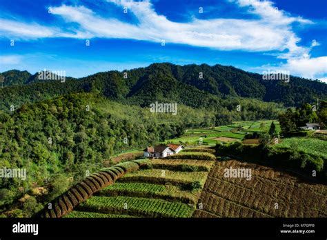 The beautiful green hill with small farm house at Batu, Indonesia Stock ...