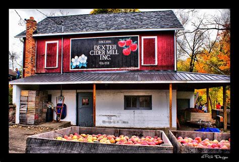 Dexter Cider Mill - Dexter, Michigan | Ann arbor michigan, Michigan ...