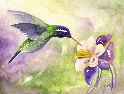 White-eared Hummingbird Painting by Art by Carol May