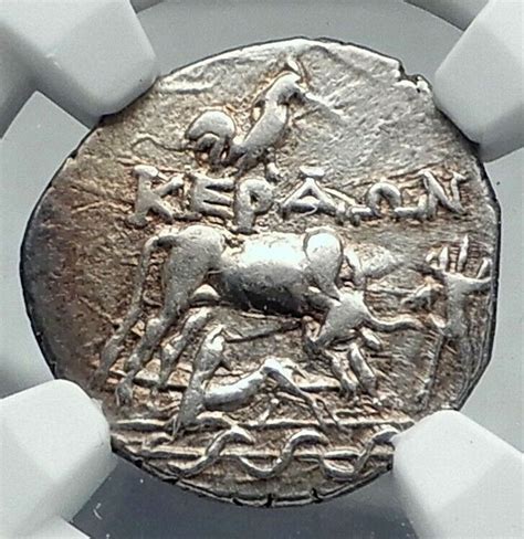 Dyrrhachium Illyria Authentic Ancient Silver Greek Coin Coin COW CALF NGC i78061 | Greek coins ...