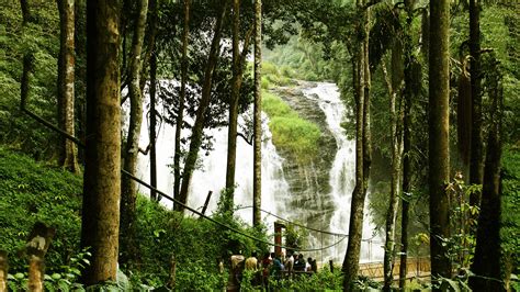 Coorg : History, Major Attraction How To Reach & Best Time To Visit