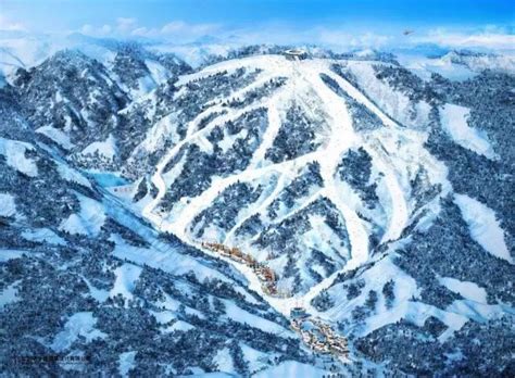 Snowland Resort 新雪国 — AXIS LEISURE