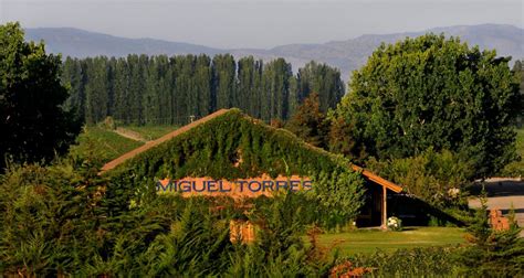 Curicó Valley - Chile Travel