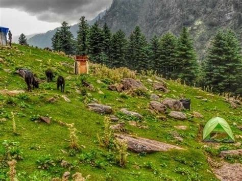 Kheerganga Trek: The Ultimate Trekkers Guide - Meander Wander