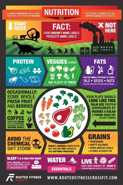 Easy To Follow Paleo Nutrition Infographic | The Dark Cellar | Nutrition infographic, Crossfit ...