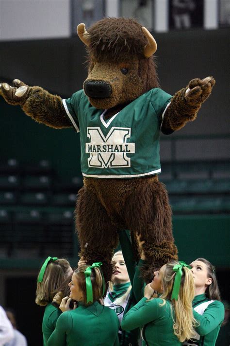 Jay O'Dell: Marshall mascot's beginnings can be traced back to the 1950s | Marshall University ...