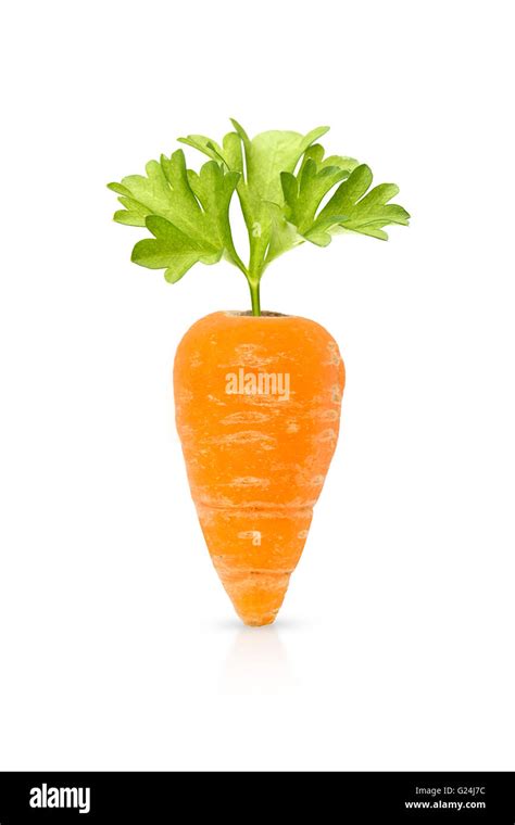 small baby carrot on white Stock Photo - Alamy