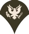 Template:Ranks and Insignia of NATO Armies/OR/United States - Wikipedia