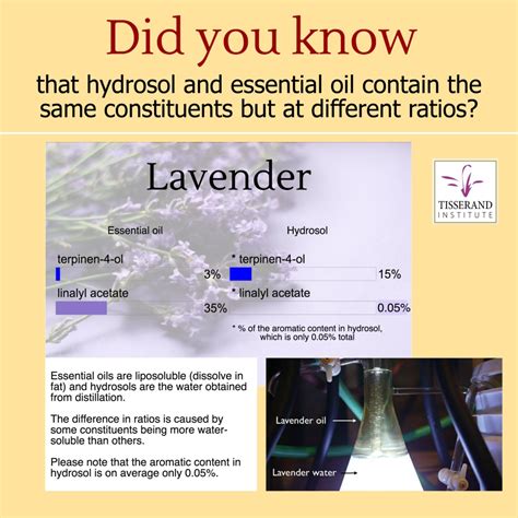 Hydrosol & Essential Oil | Did you know that Hydrosol and Essential Oil ...