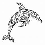 Dolphin Zentangle Coloring Page Designed For Children Vector  sketch template