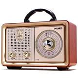Amazon.com: Portable Retro AM/FM Radio - Red : Electronics
