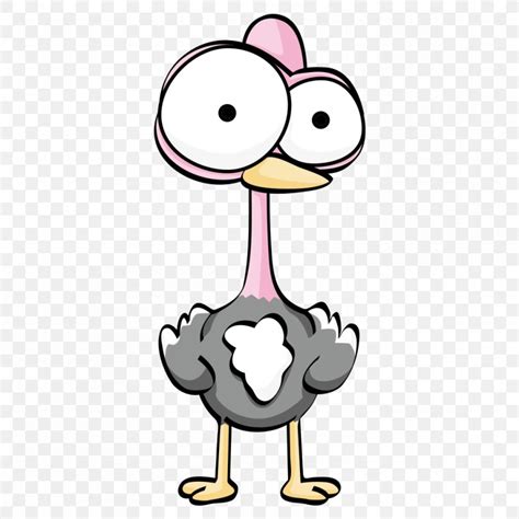 Common Ostrich Cartoon Drawing, PNG, 1000x1000px, Common Ostrich, Animal, Beak, Bird, Cartoon ...