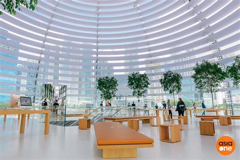 Apple Marina Bay opens on Sept 10 — here's what it's like inside the world's first floating ...