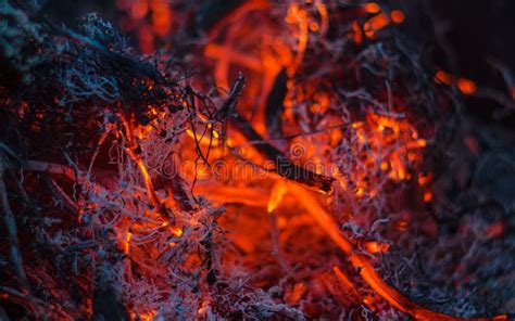 Fire and ashes stock photo. Image of flaming, cinder - 10757718