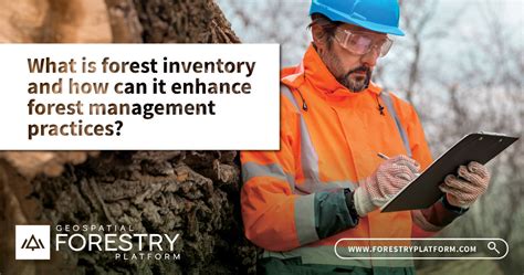 Forest Inventory - Forestry Management Software - GIS