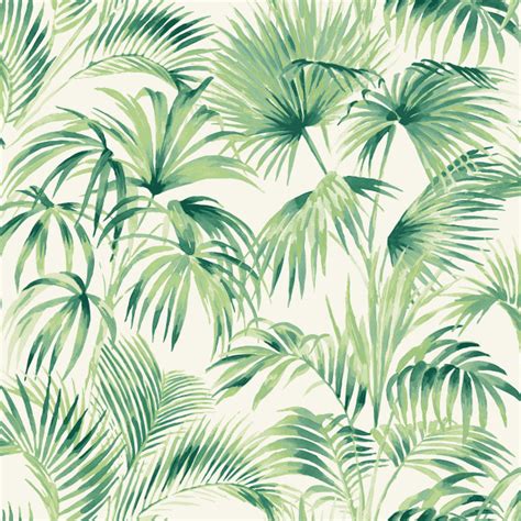 Manaus Green Palm Frond Wallpaper - Tropical - Wallpaper - by Brewster Home Fashions | Houzz