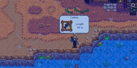 Stardew Valley: How to Catch a Catfish - Gamezo