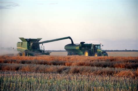 Morvenvale | Harvest Update – Canola