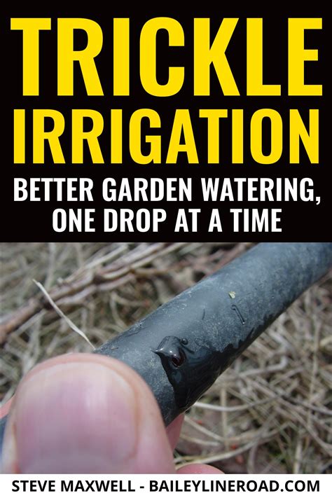 TRICKLE IRRIGATION VIDEO: Better Garden Watering, One Drop at a Time | Irrigation, Water garden ...