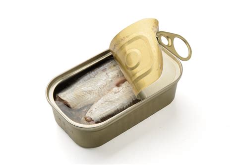 Canned sardines from Morocco - export import company