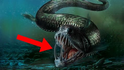 10 Most Terrifying And Deadliest Sea Creatures! - YouTube