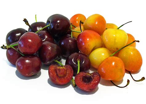 Sweet and Sour Cherry Varieties