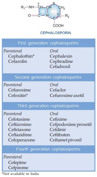 Cephalosporin Mechanism Of Action - cloudshareinfo