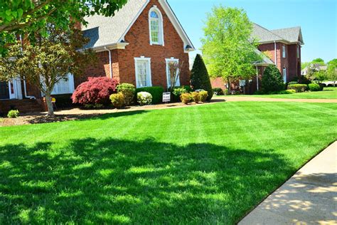 What Kind of Grass is Best for Lawns in the New River Valley of ...